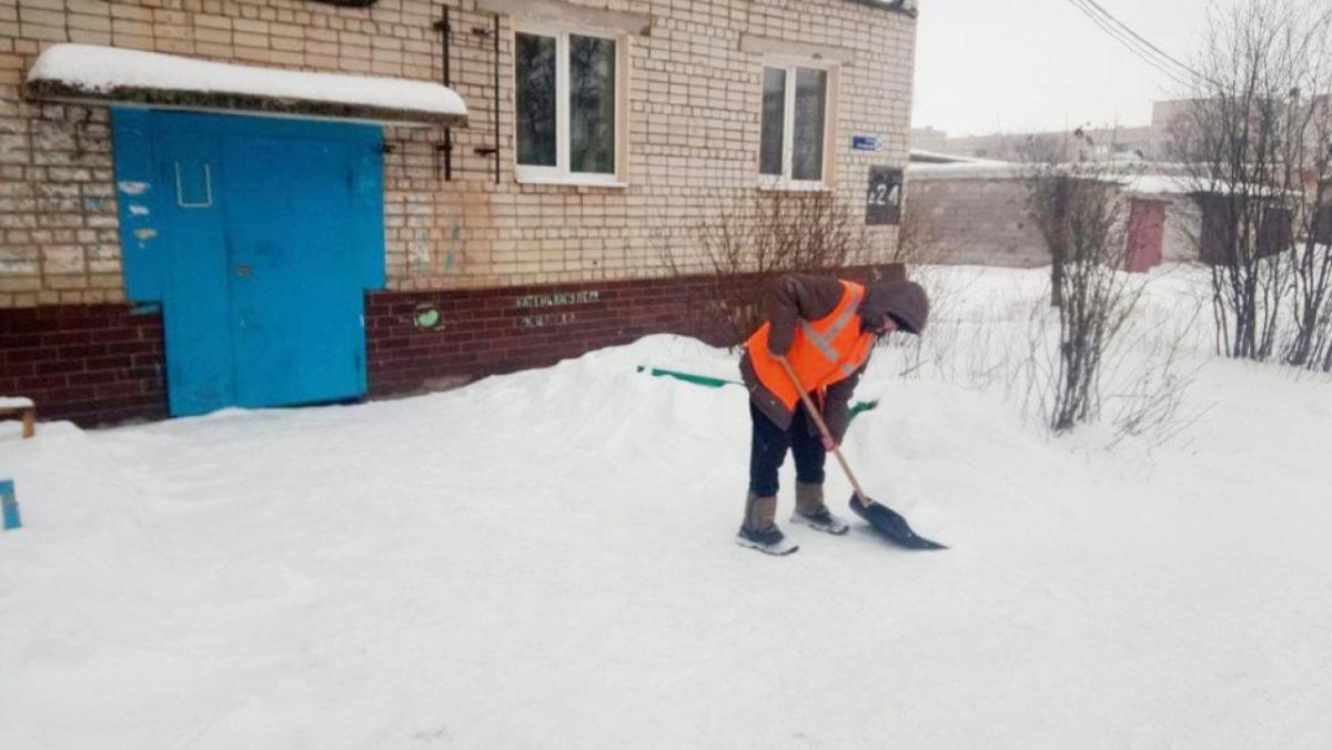 Депутат Яндиев: в Красносельском районе не нашли дворников на 60 тысяч